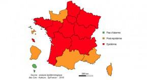 Grippe : déclin de l’activité