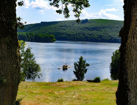 Transactions d’officines en Limousin : un apport plus modeste en raison des prix bas