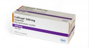 Mycophénolate mofétil et sodique&nbsp;: les règles de délivrance et de contraception changent