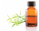 © ARMPL3237_C2_Evaluation.qcd-Art1_30-Encadre-Image_E2