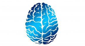 Acétate de cyprotérone : un risque de méningiomes majoré par la durée de prescription