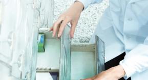 Bricanyl Turbuhaler : de retour le 10 décembre ?