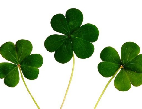 PharmagoraPlus : un « Parcours de l’installation » pour donner vie à ses projets