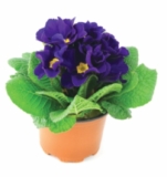 © ARMPL3263_C2_Eval.qcd-Art1_30-Encadre-Image_E6