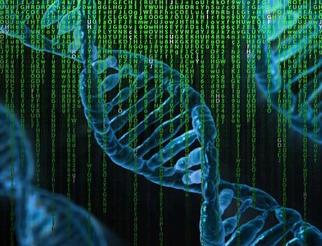 Biosimilaires : phase contentieuse en perspective