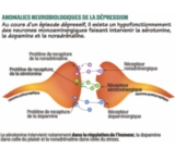 © ARMPL3275_26_EX_Pharmaco.qcd-60-image_I1