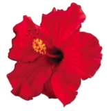 © ARMPL3277_C2_Eval.qcd-Art1_30-Encadre-Image_E10