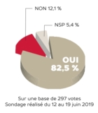 © ARMPL3280_08_VAP_Vote.qcd-60-image_I1