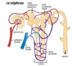 © ARMPL3280_C2_CI_BoiteOutils.qcd-Art1_30-Encadre-Image_E7