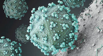 VIH : la Cour des comptes veut des autotests en libre accès et une baisse de prix des antirétroviraux