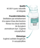 © ARMPL3283_24_EX_LeGiroflier.qcd-60-image_I1