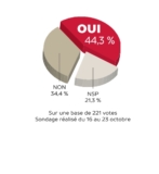 © ARMPL3294_06_VAP_Vote.qcd-60-image_I11