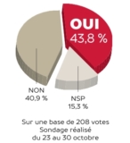 © ARMPL3295_8_VAP_Vote.qcd-60-image_I1