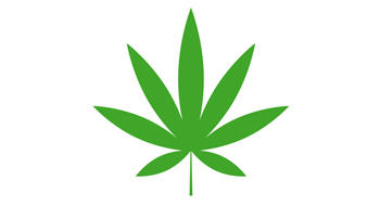 Cannabis à usage médical&nbsp;: l’expérimentation repoussée à septembre