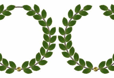 Paiement des ROSP : l’Assurance maladie impose un bonus-malus