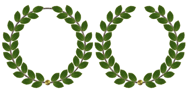 Paiement des ROSP : l’Assurance maladie impose un bonus-malus