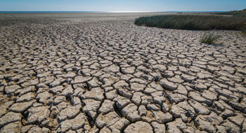 Déserts médicaux : ces zones sous-dotées en médecins généralistes