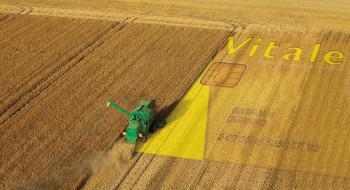 Extensions de remboursement : les parutions de l’été