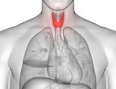 Euthyrox : la mise à disposition est prolongée jusqu’à fin 2021