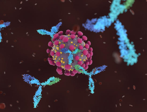 Test antigénique dans le Covid-19 : feu vert de la HAS à son utilisation