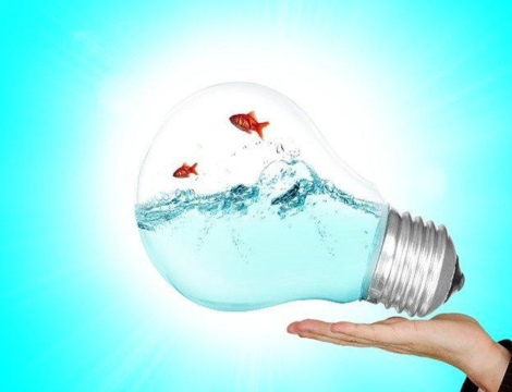 Vaccination anti-Covid-19 : la bataille de l’été des pharmaciens