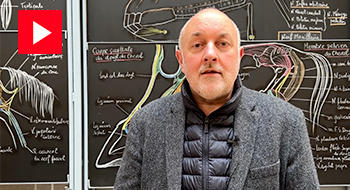 « One Health » : d&rsquo;où vient le concept ? [Vidéo]