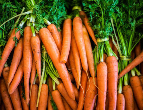 Vaccination anti-covid-19 : une indemnisation pour le travail administratif ?