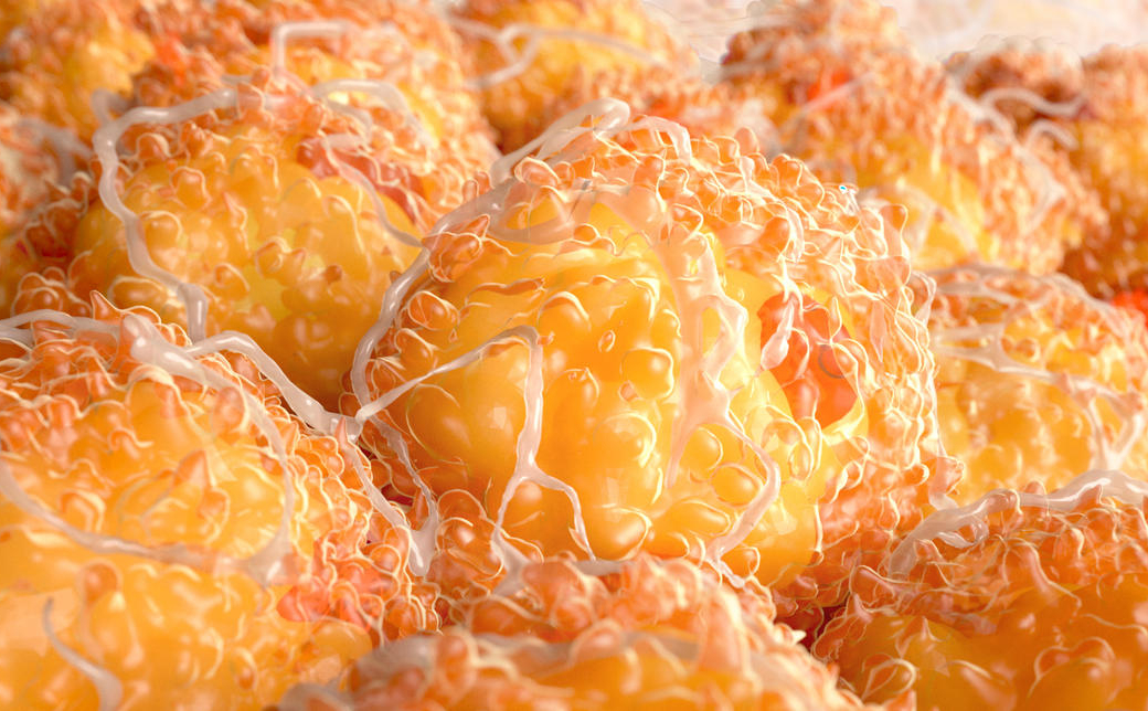 Lipolytiques injectables vendus sur internet : l’ANSM suspend certains produits