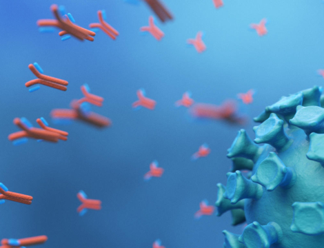 Variant Omicron : les anticorps monoclonaux sans effet