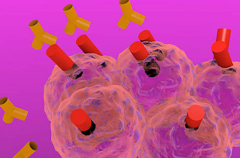Substitution « biosimilaires » et « hybrides » : bientôt le dénouement ?