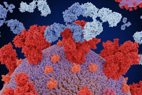 Covid-19 : quelle place pour Ronapreve ?