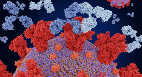 Covid-19 : quelle place pour Ronapreve ?