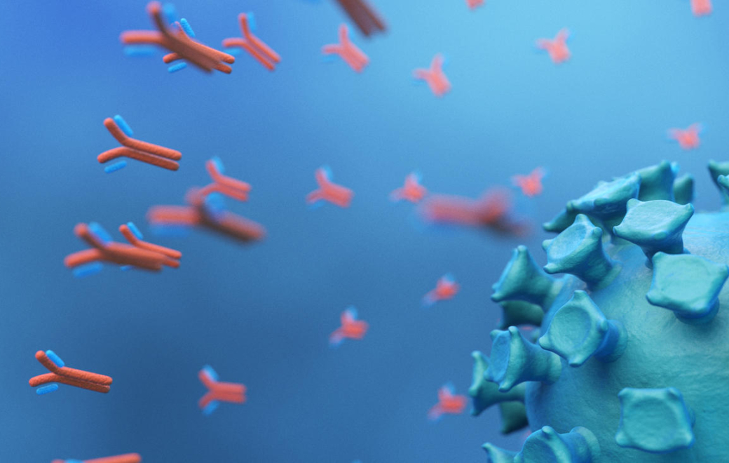 Vaccin anti-Covid-19 : une efficacité de longue durée, ce n&rsquo;est pas si simple