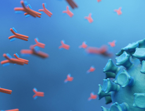 Vaccin anti-Covid-19 : une efficacité de longue durée, ce n&rsquo;est pas si simple