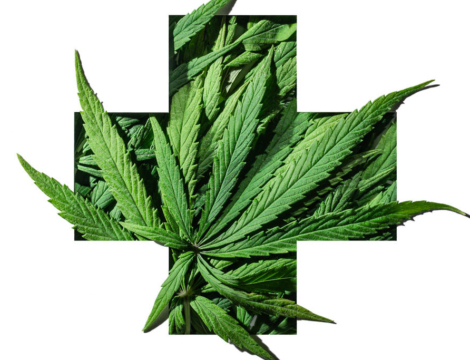 Cannabis médical : deux nouvelles indications