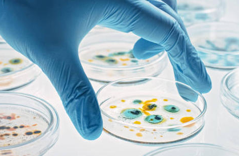 Une seule santé : ou comment sauver l&rsquo;avenir de l’humanité