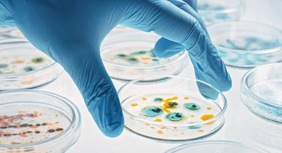 Une seule santé : ou comment sauver l&rsquo;avenir de l’humanité