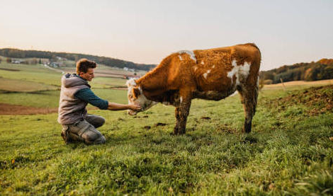 One Health : pourquoi tant d’importance aux yeux des jeunes professionnels de santé ?