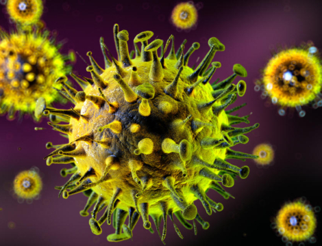 Grippe saisonnière : où en est-on de l&rsquo;épidémie ?