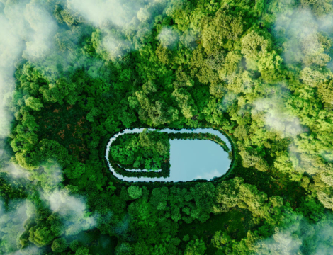 Ecologie : 7 chiffres sur le poids du médicament dans la santé environnementale