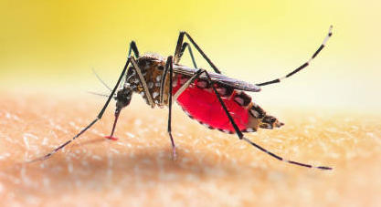 Lariam : attention aux effets neuropsychiatriques !