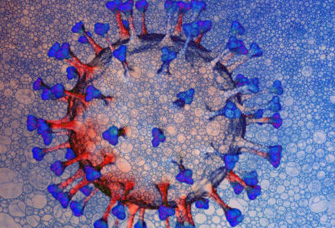 Variole du singe : faut-il s&rsquo;inquiéter de la multiplication des cas ?