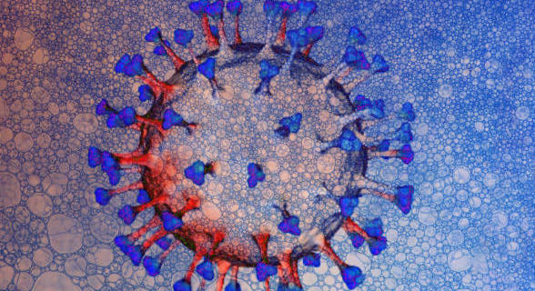 Variole du singe : faut-il s&rsquo;inquiéter de la multiplication des cas ?
