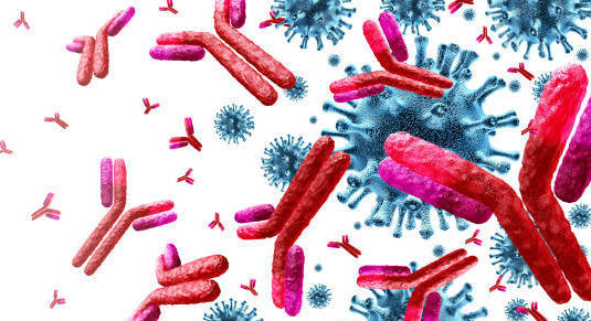 Antibiorésistance : un Français sur deux ne sait pas ce que c&rsquo;est