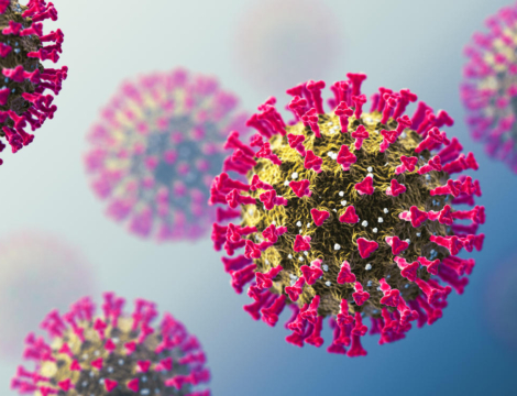 Gestion de la crise Covid-19 : et après le 31 juillet ?