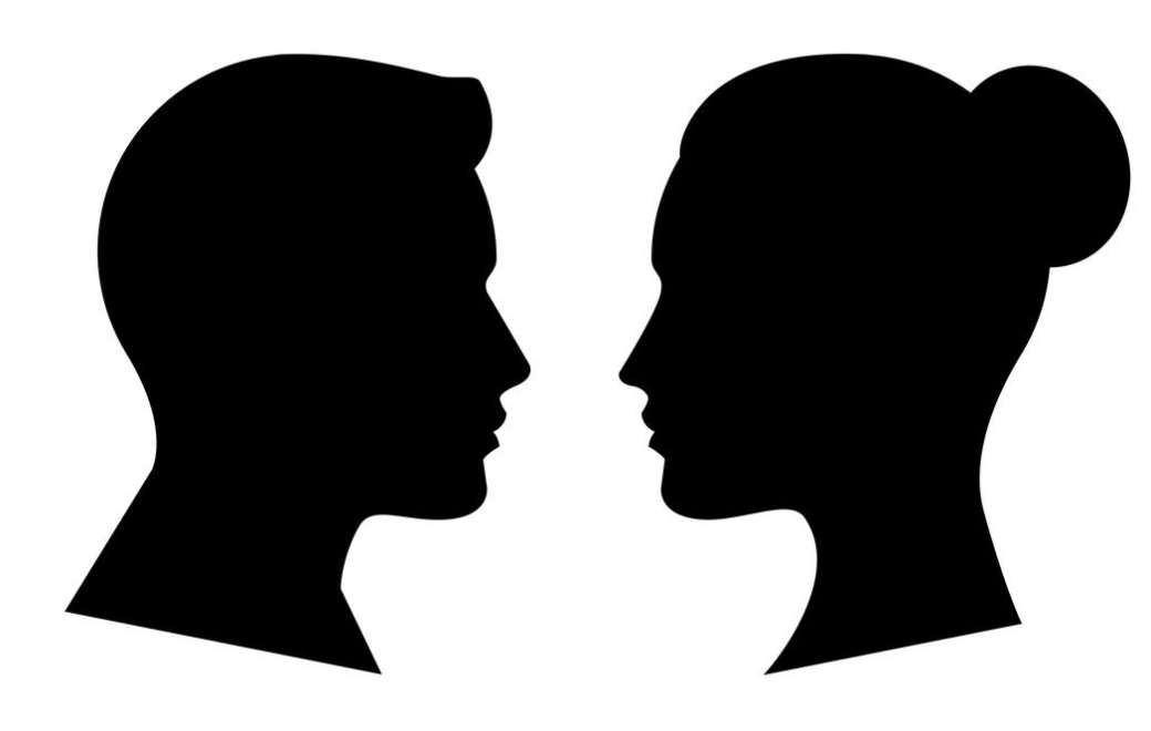 Paxlovid : portrait robot de l’utilisateur