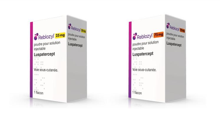 Reblozyl : traitement d’une hémopathie maligne