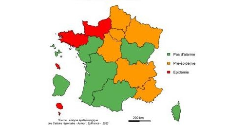 Grippe : elle est (déjà) là