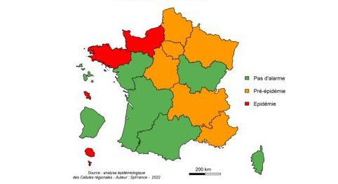 Grippe : elle est (déjà) là