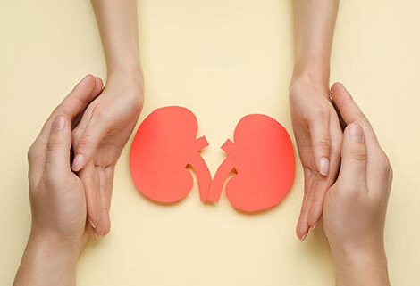 L’Agence de la biomédecine veut faire du don du vivant une priorité